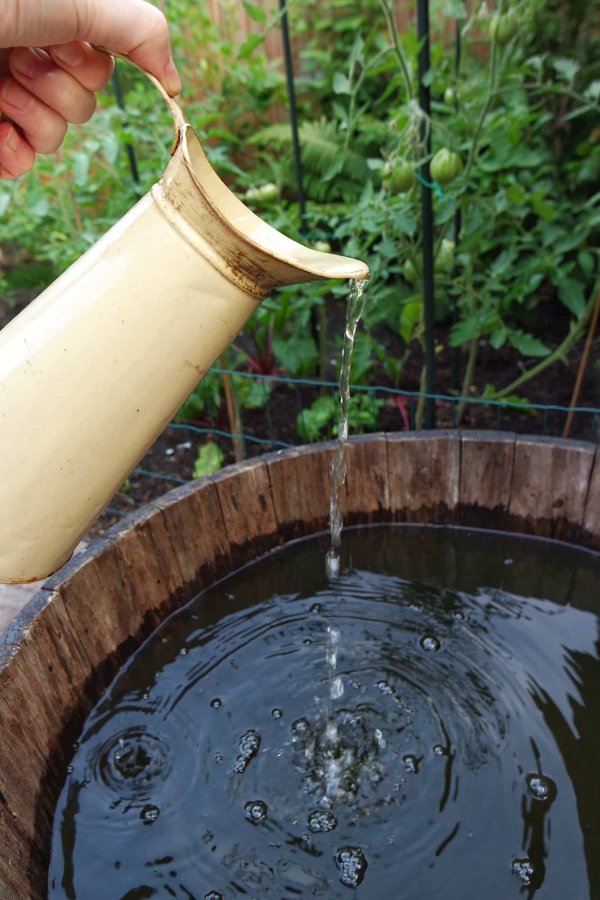What's the Best Strategy for a Rainwater Collection System in a Semi-Detached House?